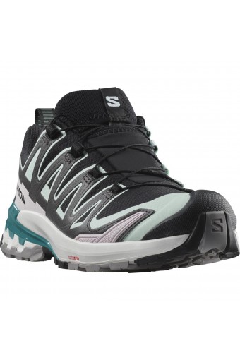 SALOMON XA PRO 3D V9 GTX W...