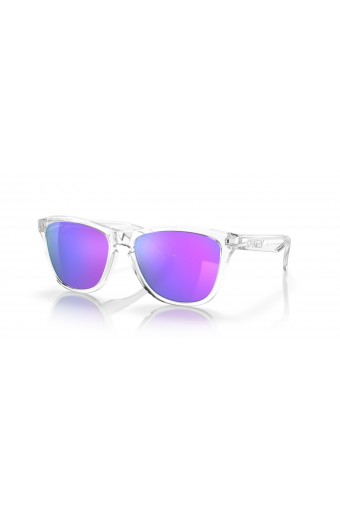 OAKLEY FROGSKINS SKI...