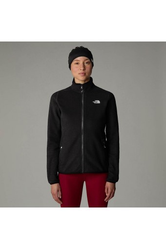 THE NORTH FACE W 100...