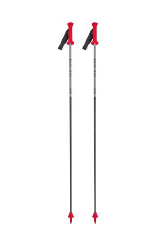 VAN DEER RACE GS CARBON SKI...